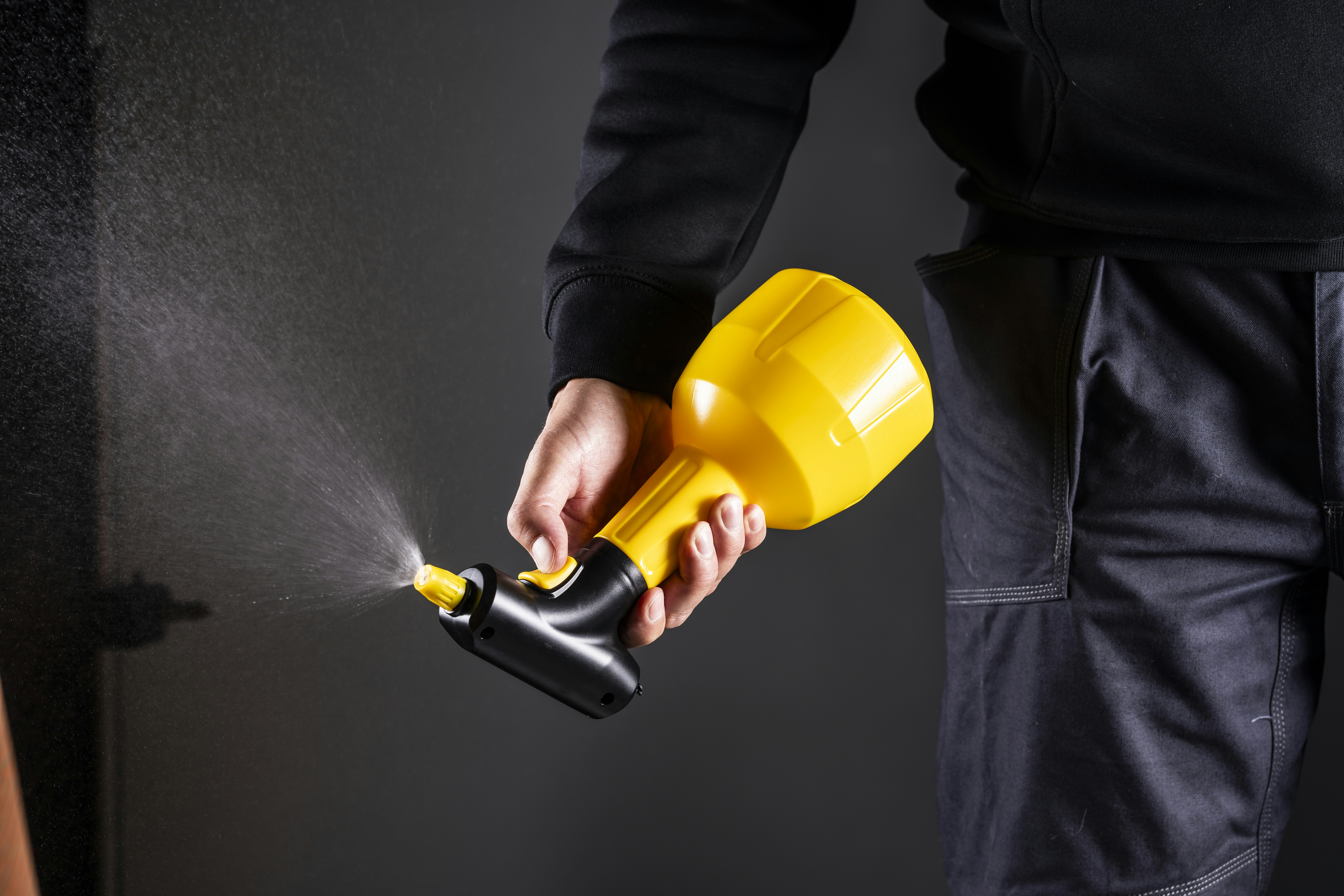 PEST CONTROL SERVICE thumbnail 5