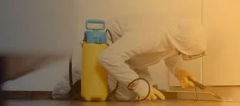 Pestcontrol Service thumbnail 4