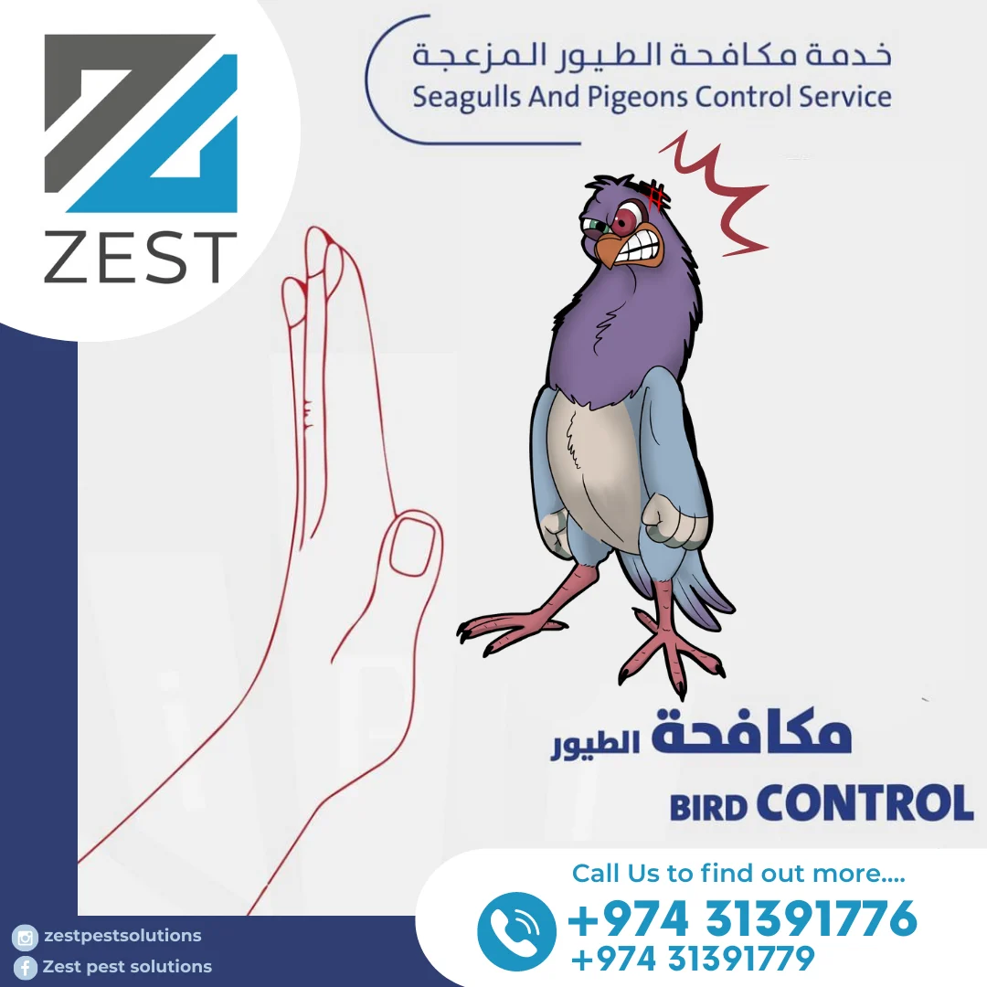 Pest control Service thumbnail 2