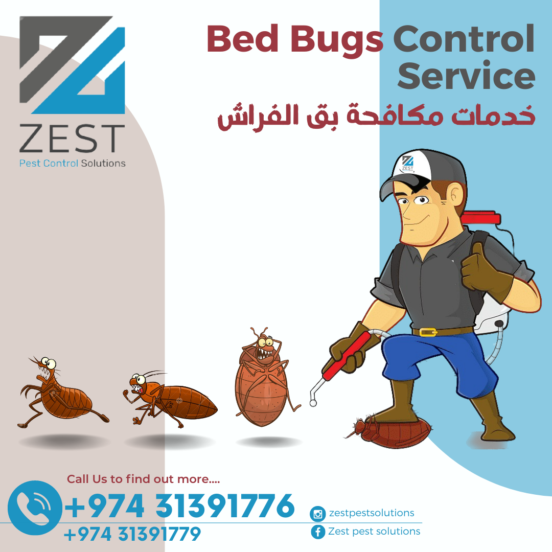 Pest control Service thumbnail 3