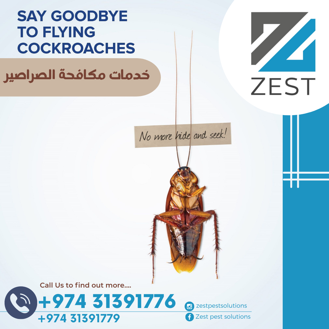 Pest control Service thumbnail 4